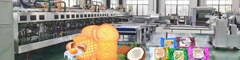 Cheese Biscuit Processing Production Line French Cookie Biscuit Processing Equipment 800kg Automatic Crispy Biscuit Machine
